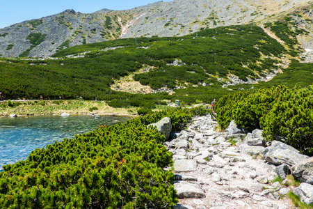 Rocky lake natural lake in the High Tatrasの写真素材