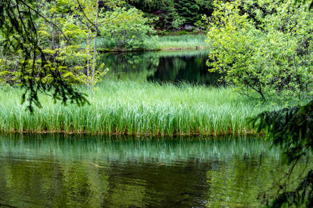 The beautiful mountain lake Vrbicke Pleso in the Low Tatras in Slovakia