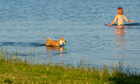 A playful dog full of energy of love and life enjoys God's gift of existenceの写真素材