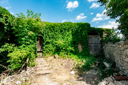 The ruins of Vinne Castle and its surroundings in the Zemplin region of Slovakia during reconstructionの写真素材