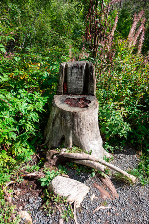 A natural chair from a tree stump in the High Tatras in Slovakiaの写真素材
