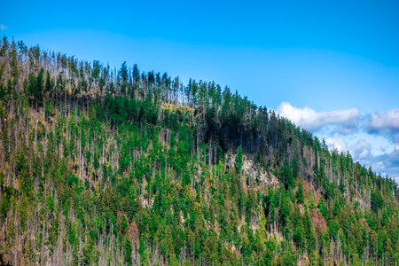 High mountain nature High Tatras Slovakia