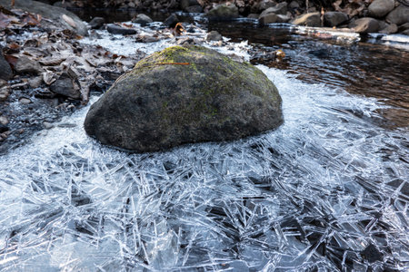 A crystal ice shell on the surface of a forest streamの写真素材