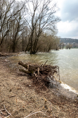 A view of the shore at the other end of the lake of the recreation centerの写真素材