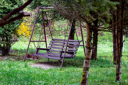 Wooden swing in a still life in the countrysideの写真素材