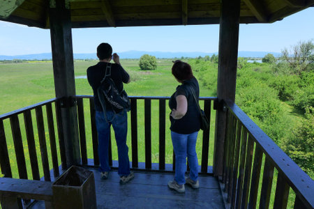 Tourists observe the protected birds in the marshes from the observation towerの写真素材