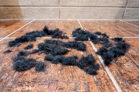 Cut hair lying on the pavementの写真素材