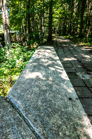 Old historical trail in the forest parkの写真素材
