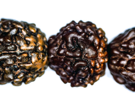 Rudraksha seeds five mukhiの写真素材