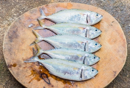 Fresh fish on the chopping block.