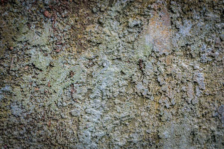 Rough plaster walls. Grunge background for landscape.の写真素材