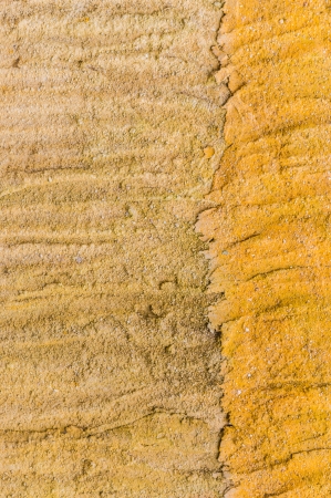 Grunge background, Rough plaster walls.For art texture or vintage paper design.