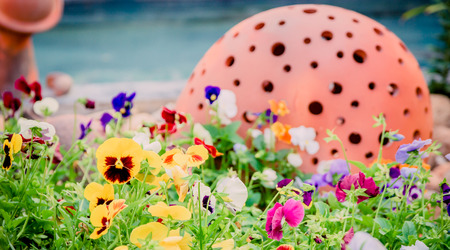 beautiful flowers in the gardenの写真素材