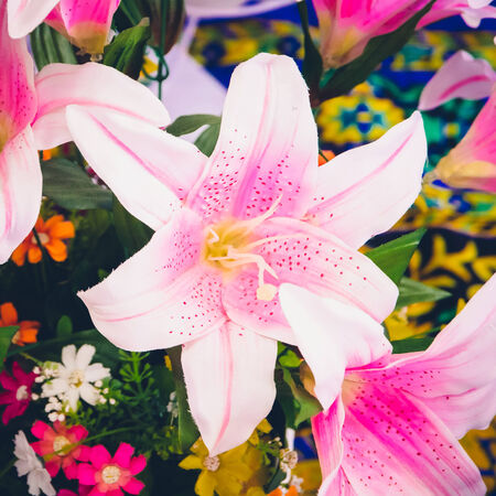 Colorful of flowersの写真素材