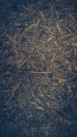Scraps of wood panel texture background.の写真素材