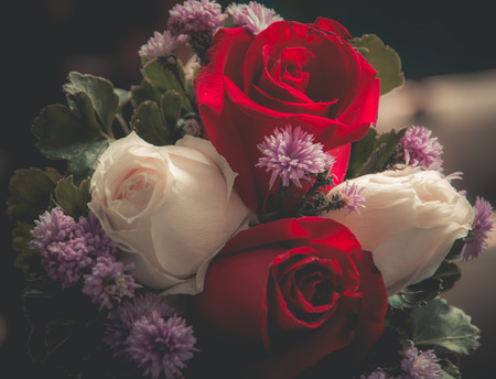 Close up of roses.Vintage Flowers for art texture or web design and valentine day background.の写真素材