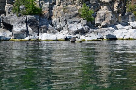 Baikal seal lies on a stone on the lake under a high rockの写真素材