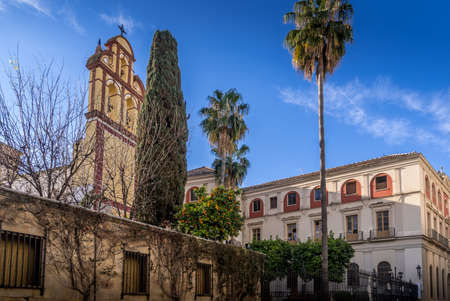 Empty street view of Malaga city center during the COVID epidemic with no people on the streets in Spainのeditorial素材