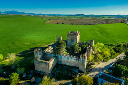 Aerial view of Aguzaderas medieval castle near Sevilla in Andalusia with lush green grassのeditorial素材