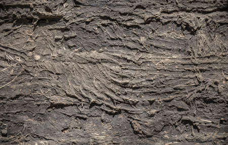 Walls with clay texture