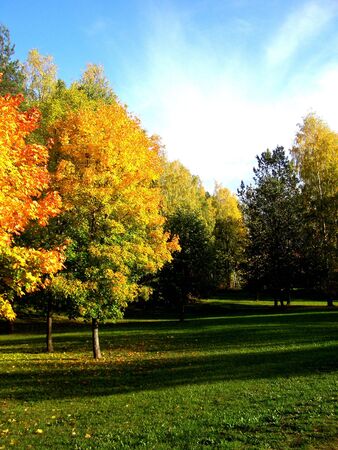 Autumn colorsの写真素材