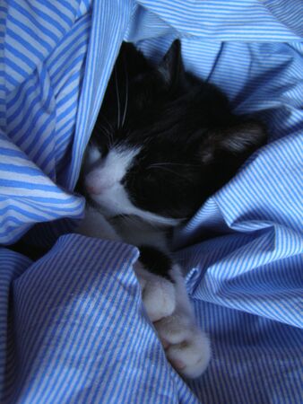 Sleepyの写真素材