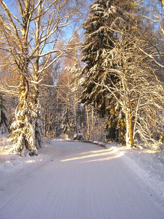 When hell frozeの写真素材