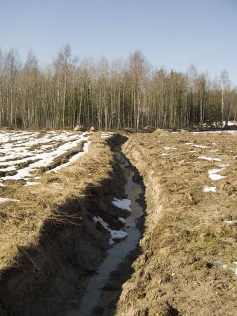 Grand canyonの写真素材