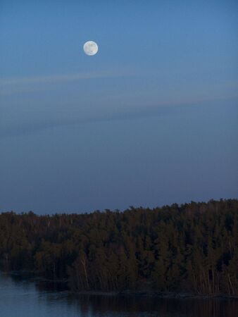 Moonlit forestの写真素材