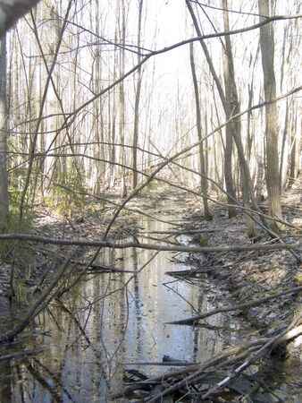 Dust and echoesの写真素材