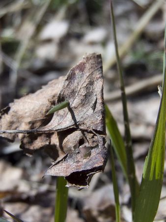 Penetrationの写真素材