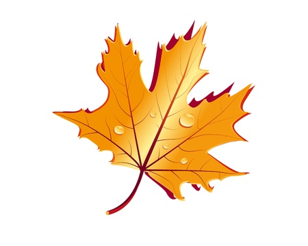 golden autumn leaf