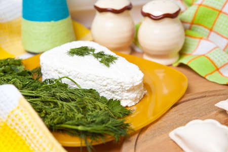 cottage cheese with parsley on a plate, on a yellow checkered towelの写真素材