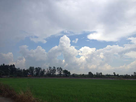 The countryside around Thailandの素材