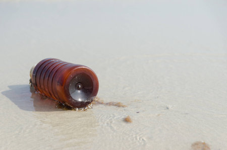 Bottle plastic on the baech  show long life garbageの写真素材