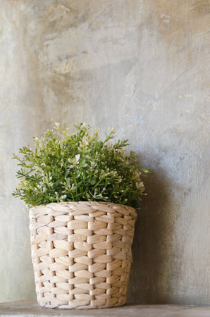 Green fake flower in vase wall backgroundの写真素材