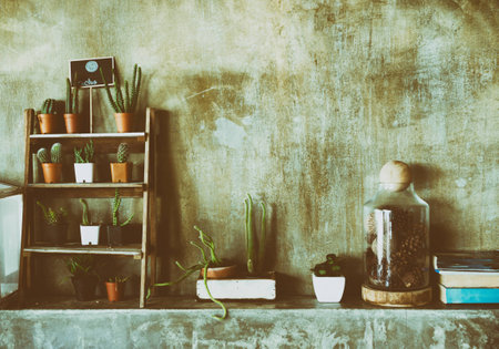 Resting corner with cactus and books,vintageの写真素材