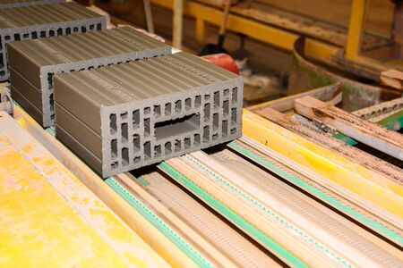 Unburned bricks in production on a conveyor belt