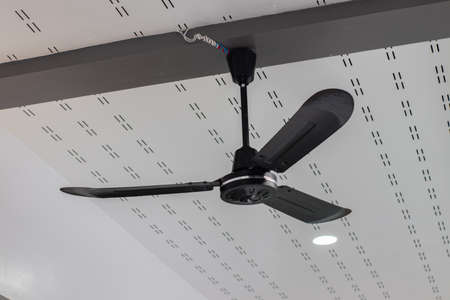 Electric ceiling fan