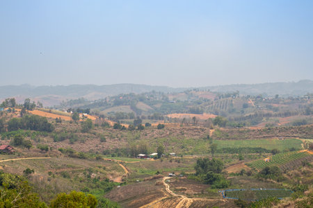 Bird's-eye view of rural Thailandの写真素材