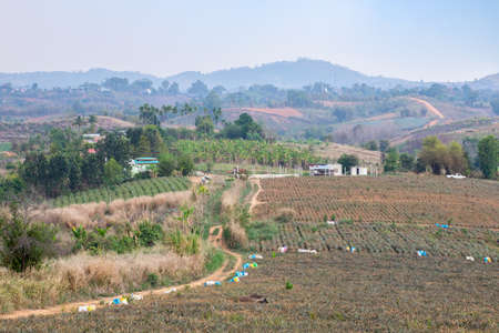 Bird's-eye view of rural Thailandの写真素材