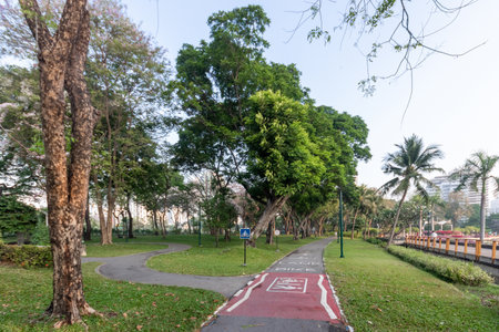 Bike / bicycle and jogging / running lane way in park in the morningの写真素材