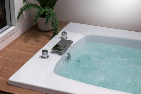Close-Up Beautiful white bathtub with fernの写真素材