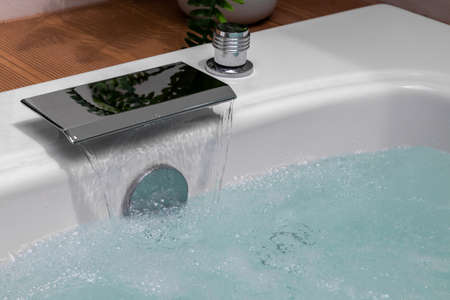 Close-Up Beautiful white bathtub with fernの写真素材