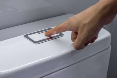 hand press and flush in bathroom. Cleaning, Lifestyle and personal hygiene concept in house