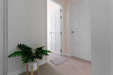 white house corridor and plant pots of homeの写真素材