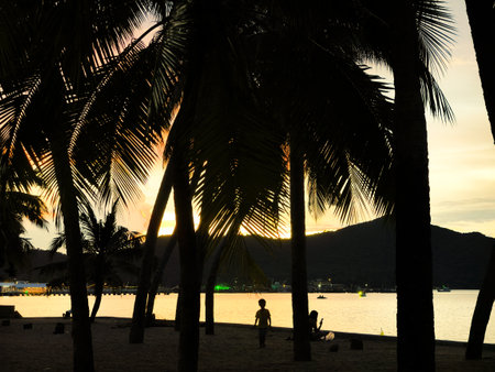 The beautiful orange sunset glow through the coconut trees by the sea and the mountains in the background,の写真素材