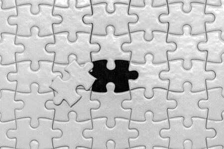 Pictures of one paper puzzle that has not been pasted.