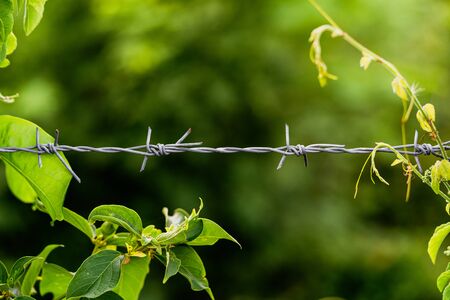 Close-up of an old iron barbed fence and a soft focus green bokeh