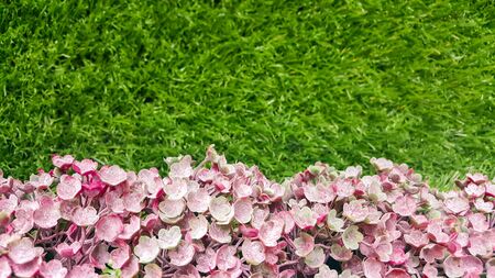 Decorative background artificial pink  flowers on a grass wall.
